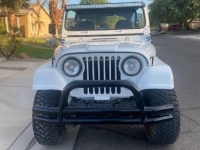 1982 Jeep CJ7 for sale in Michigan (ID-119585)