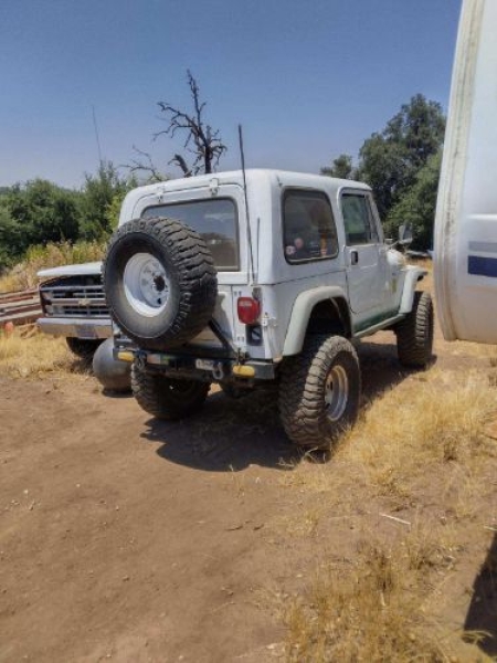 1982 Jeep CJ7 for sale in Michigan (ID-133792)