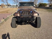 1982 Jeep CJ8 for sale in Michigan (ID-162166)