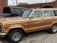 1982 Jeep Wagoneer for sale in Michigan (ID-118972)