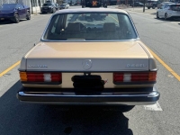 1982 Mercedes-Benz 240D for sale in Michigan (ID-162773)