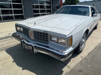 1982 Oldsmobile 98 for sale in Michigan (ID-130833)