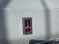 1982 Oldsmobile 98 for sale in Michigan (ID-130833)