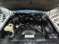 1982 Oldsmobile Delta Eighty-Eight Royale for sale in Addison, Illinois (ID-162449)