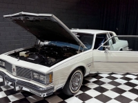 1982 Oldsmobile Delta Eighty-Eight Royale for sale in Addison, Illinois (ID-162449)