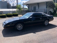 1982 Pontiac Firebird for sale (ID-131052)