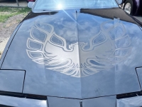 1982 Pontiac Firebird for sale (ID-131052)