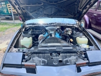 1982 Pontiac Firebird for sale (ID-131052)