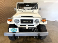 1982 Toyota FJ40 for sale in Michigan (ID-140572)