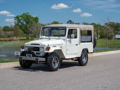 1982 Toyota FJ43 for sale