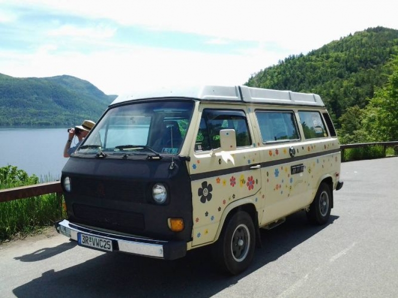 1982 Volkswagen Vanagon for sale in Michigan (ID-116601)