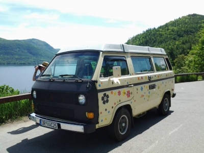 1982 Volkswagen Vanagon for sale