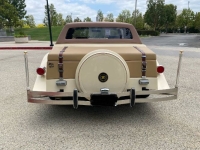 1982 Zimmer Golden Spirit for sale in Michigan (ID-136932)
