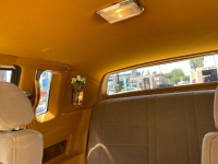 1982 Zimmer Golden Spirit for sale in Michigan (ID-161400)