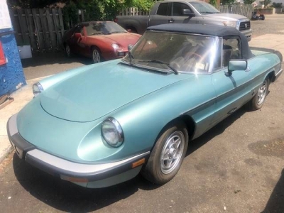 1983 Alfa Romeo Spider Veloce for sale
