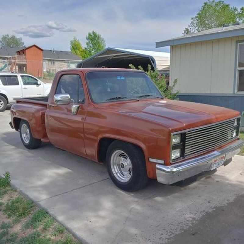 1983 Chevrolet 1500 for sale in Michigan (ID-89811) 1983 Chevrolet 1500 for sale in Michigan (ID-89811)