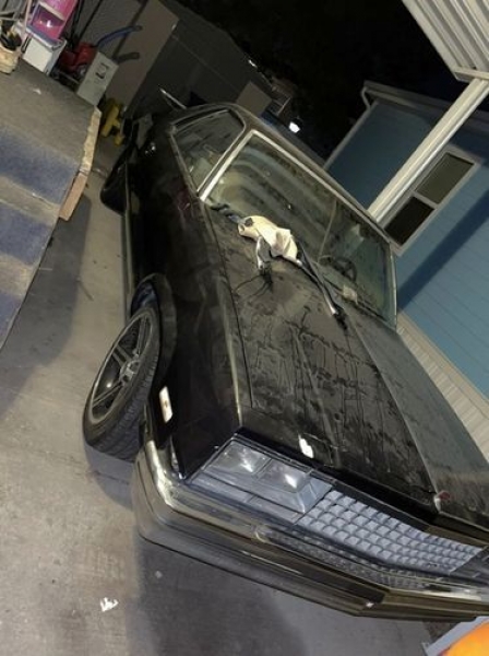 1983 Chevrolet El Camino for sale in Michigan (ID-93807) 1983 Chevrolet El Camino for sale in Michigan (ID-93807)