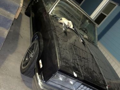 1983 Chevrolet El Camino for sale