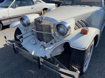 1983 Zimmer Golden Spirit for sale