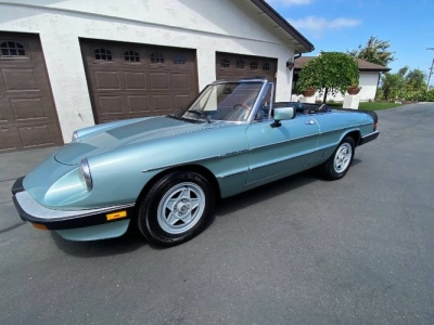 1983 Alfa Romeo Spider for sale