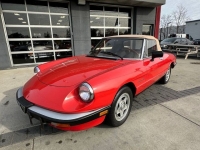 1983 Alfa Romeo Spider for sale in Riverhead, New York (ID-125559)