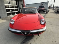 1983 Alfa Romeo Spider for sale in Riverhead, New York (ID-125559)