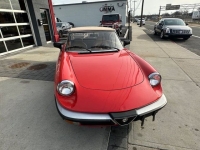 1983 Alfa Romeo Spider for sale in Riverhead, New York (ID-125559)