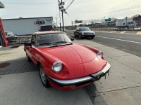 1983 Alfa Romeo Spider for sale in Riverhead, New York (ID-125559)