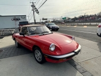 1983 Alfa Romeo Spider for sale in Riverhead, New York (ID-125559)