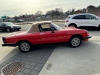 1983 Alfa Romeo Spider for sale in Riverhead, New York (ID-125559)