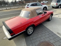 1983 Alfa Romeo Spider for sale in Riverhead, New York (ID-125559)