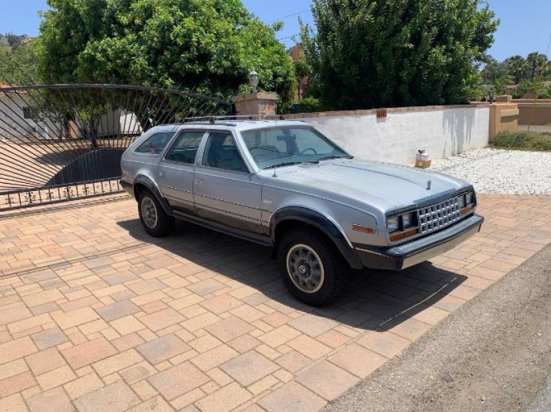 1983 AMC Eagle for sale in Michigan (ID-146365)