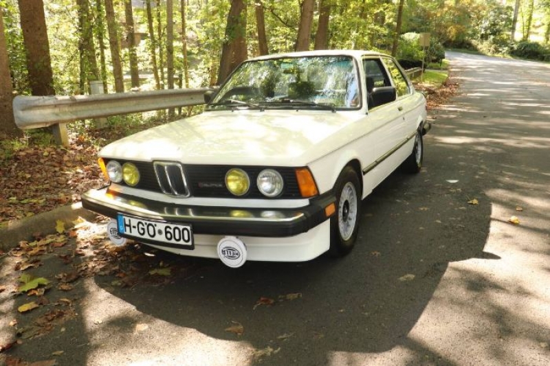 1983 BMW 320I for sale in Michigan (ID-121292)