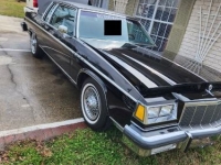 1983 Buick Park Avenue for sale in Michigan (ID-139858)