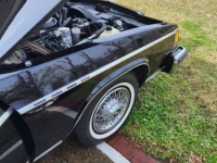 1983 Buick Park Avenue for sale in Michigan (ID-139858)