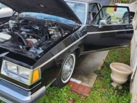 1983 Buick Park Avenue for sale in Michigan (ID-139858)