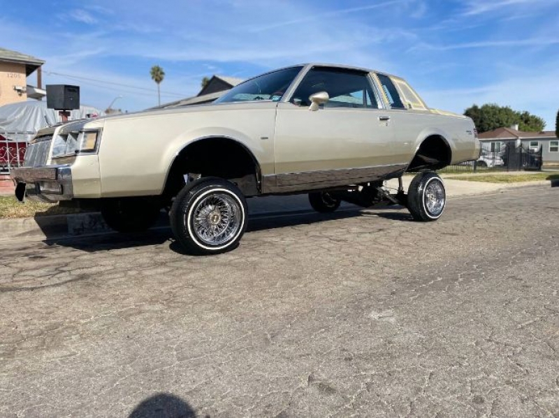 1983 Buick Regal for sale in Michigan (ID-123945)
