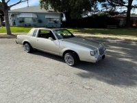 1983 Buick Regal for sale in Michigan (ID-123945)