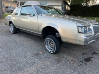 1983 Buick Regal for sale in Michigan (ID-123945)