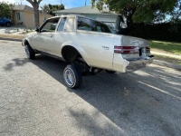 1983 Buick Regal for sale in Michigan (ID-123945)
