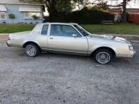 1983 Buick Regal for sale in Michigan (ID-123945)