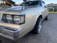 1983 Buick Regal for sale in Michigan (ID-123945)