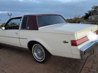 1983 Buick Regal for sale in Michigan (ID-139266)