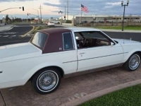 1983 Buick Regal for sale in Michigan (ID-139266)