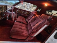 1983 Buick Regal for sale in Michigan (ID-139266)