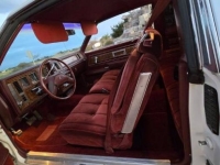 1983 Buick Regal for sale in Michigan (ID-139266)