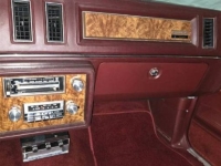 1983 Buick Regal for sale in Michigan (ID-139266)