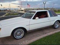 1983 Buick Regal for sale in Michigan (ID-139266)