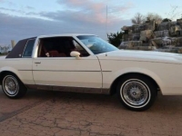 1983 Buick Regal for sale in Michigan (ID-139266)