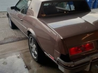1983 Buick Riviera for sale in Michigan (ID-139541)